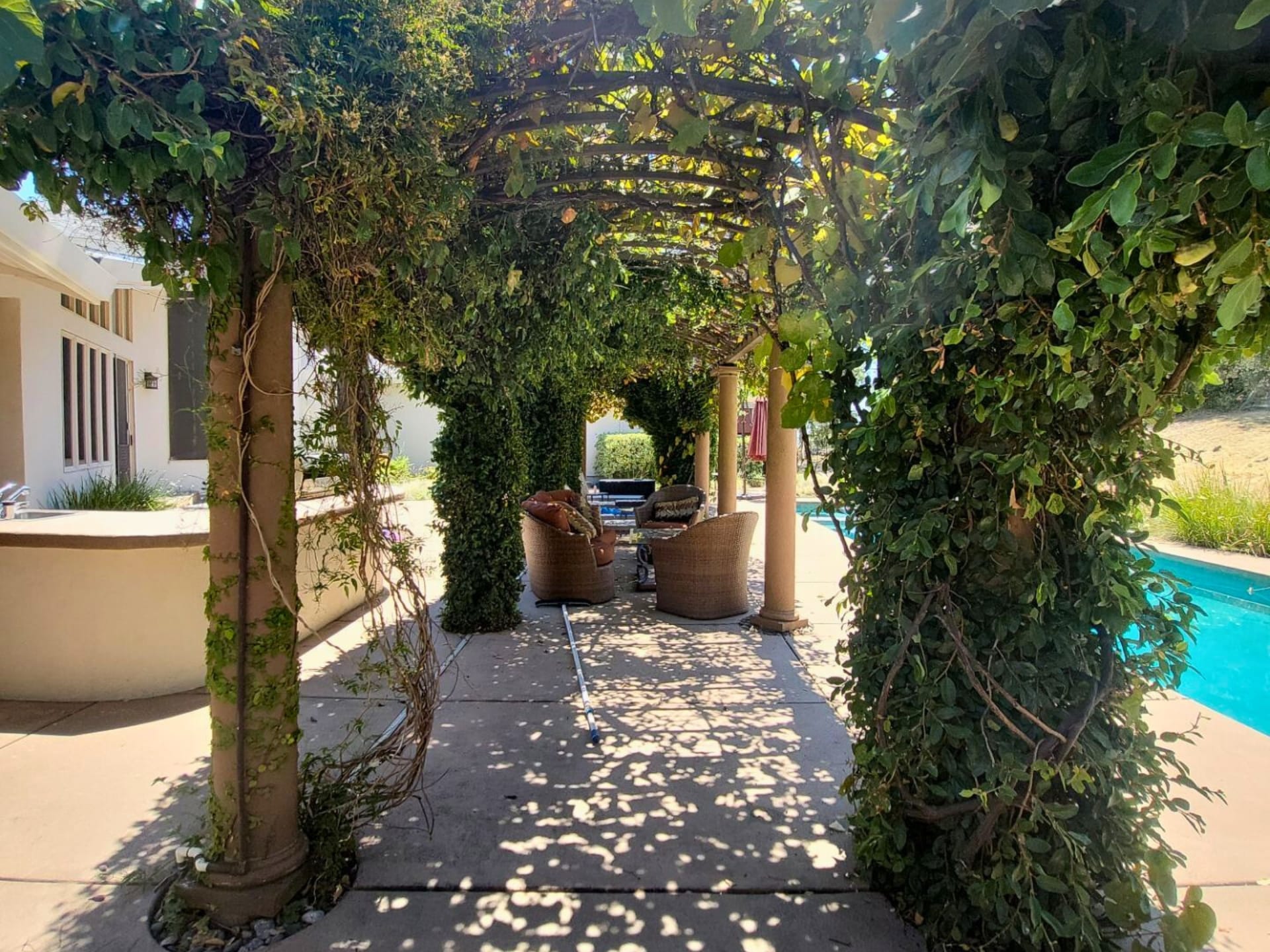 Before: angle 7. View featuring a vine-covered pergola with wooden columns, outdoor furniture, and a built-in barbecue area, set against a white stucco house with a clear blue sky.