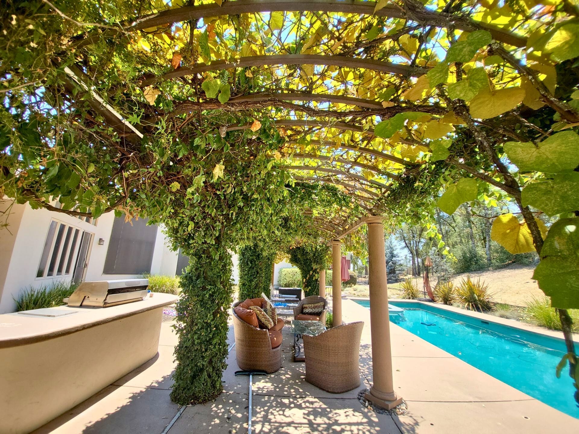 Before: angle 8. A vine-covered pergola with wooden columns, outdoor furniture, set against a white stucco house.