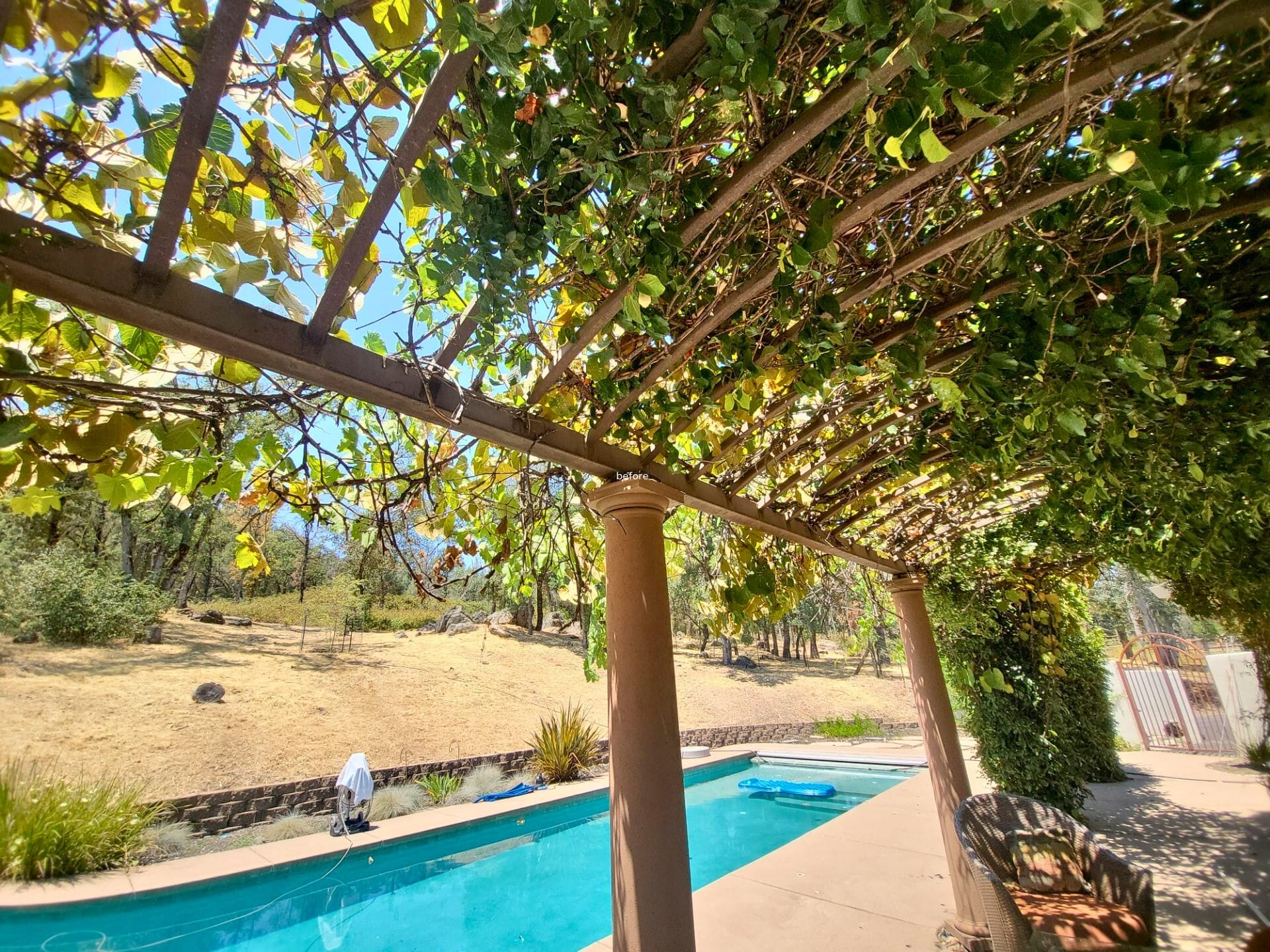 Before: angle 2. A vine-covered pergola with wooden columns, outdoor furniture, set against a white stucco house with a clear blue sky.